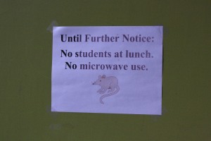 This sign was found on the door of Room 46. Several other classrooms had similar signs.