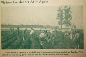 Students hard at work in the Victory Garden, December 1942.  The front of the main building can be seen in the background.