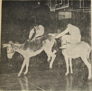 Dad's Club hosts donkey basketball night, 1966 in the main gym.